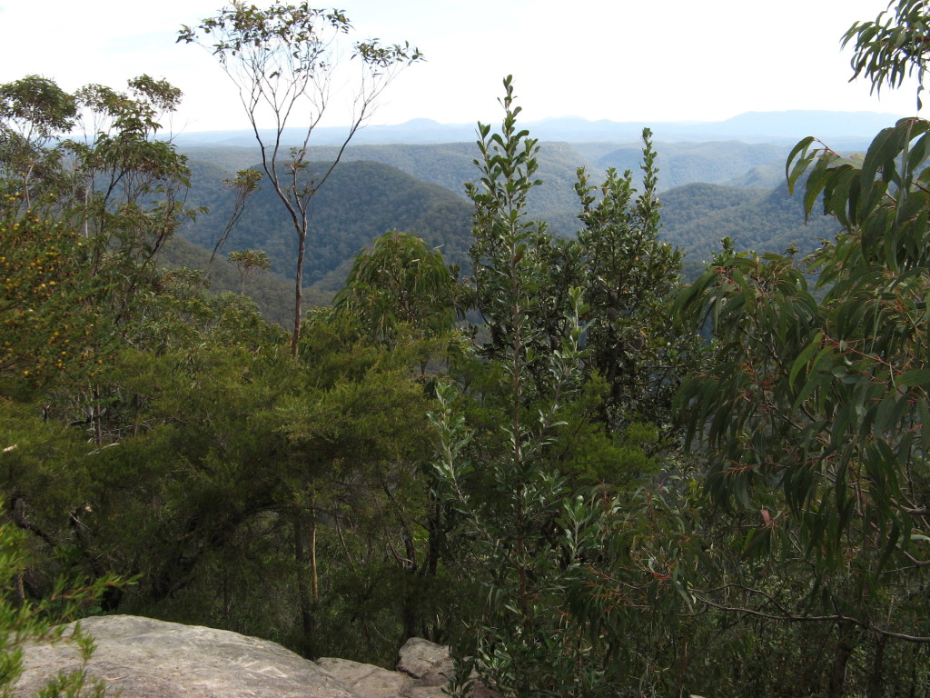 Shaws Ridge Walk (LH)