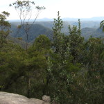 Shaws Ridge Walk (LH)