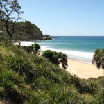Otford to Burning Palms 3 Beach at Burning Palms (LH)