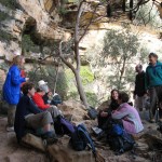 Little Zig Zag - Reinits Pass 2 (LH)