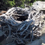 Marley Head Circuit 2 Sea Eagle's nest (LH)