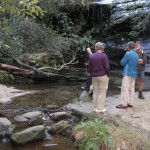 The Three Creeks 1 (LH)