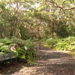 Captain Cooks Landing PLace 2 (LH)