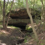 Lake Parramatta 2 Secluded overhang (LH)