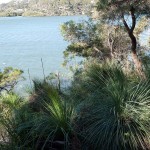 Oatley Park 1 (TR)