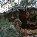 Oatley Park 2 Dracula's Canteen (TR)