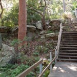 Oatley Park 3 (TR)