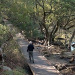 Oatley Park4 (TR)