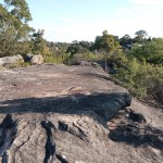 Wolli Creek 4 Nanny Goat Hill (TR)