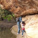 Garadi Loop 5 Supervised Risk Taking (TR)