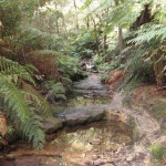 Glow Worm Tunnel 1 Penrose Gorge (LH)